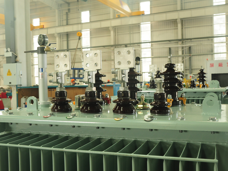 丽水S13-500KVA油浸式变压器